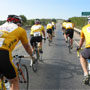 Meanwhile... out on the road... 8 CCCers are haulin' booty at 21 mph or so towards the finish...  Left Line (from front) Jim Owens, Chris Hornbeek, Joann Seaver, and Chris States. Right Line (from front) Tom Downs, Bryan Head, Bill Carson and Will is doing his best Graham Watson imitation while taking the photo...